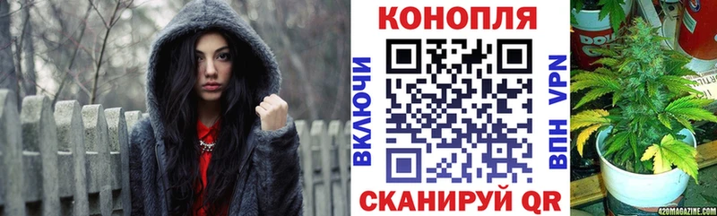 Где купить Качканар Каннабис  Кокаин  ГАШИШ  АМФ  Мефедрон 