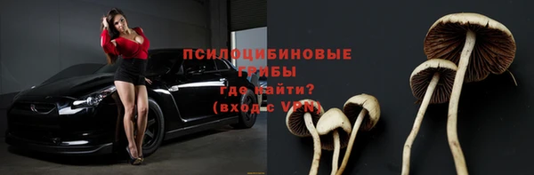 ALPHA PVP Алексин